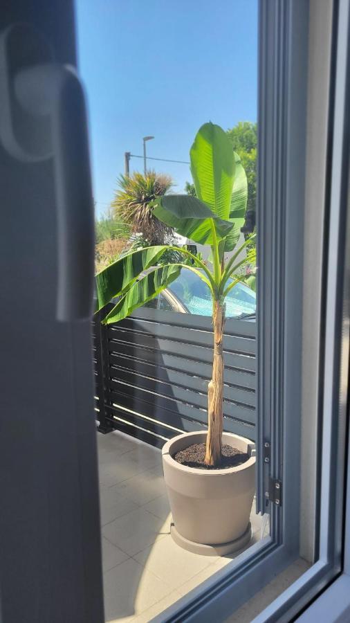 Apartment Sur La Terrace *